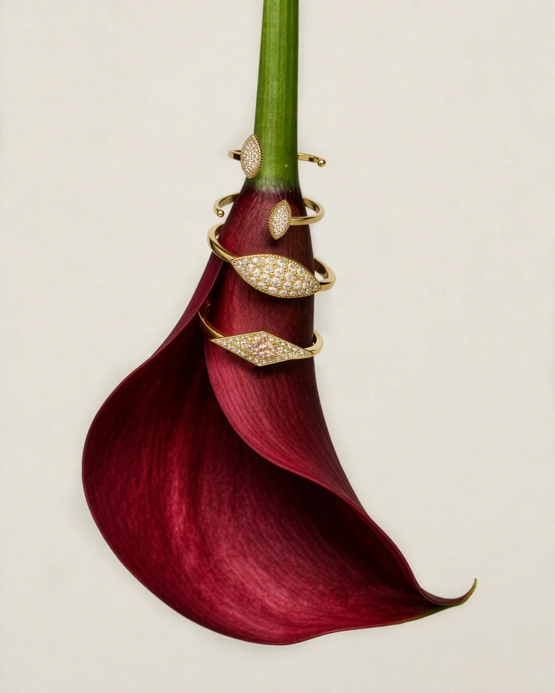 Miniatuur 6
